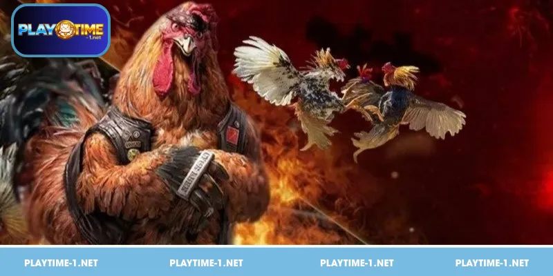 Why Choose This Platform for Your Bets?